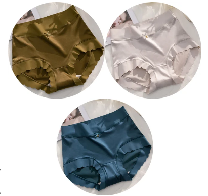 Maria™ Seamless Antibacterial Silk Panties